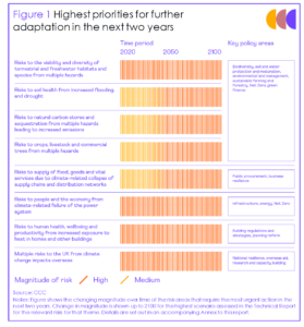 Chart showing the highest priorities for further adaptation in the next 2 years.